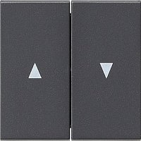 Лицевая панель Gira System55 для 2-кл. выключателя жалюзи антрацит